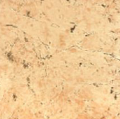 Rustic 10