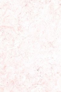 Blossom Pink Light