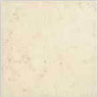 Ajmer Ivory
