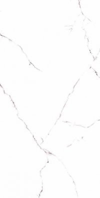 Carrara-3